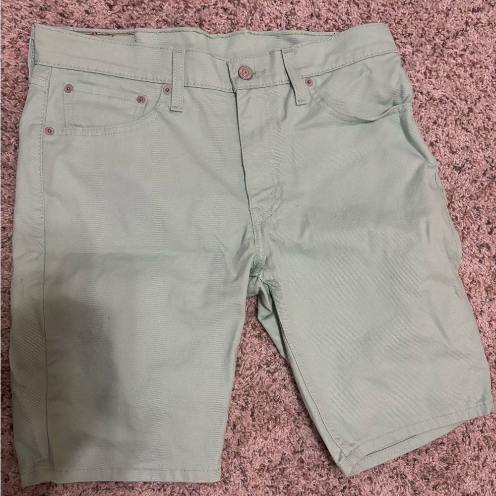 Levi’s 511 Men's Mint Green Shorts